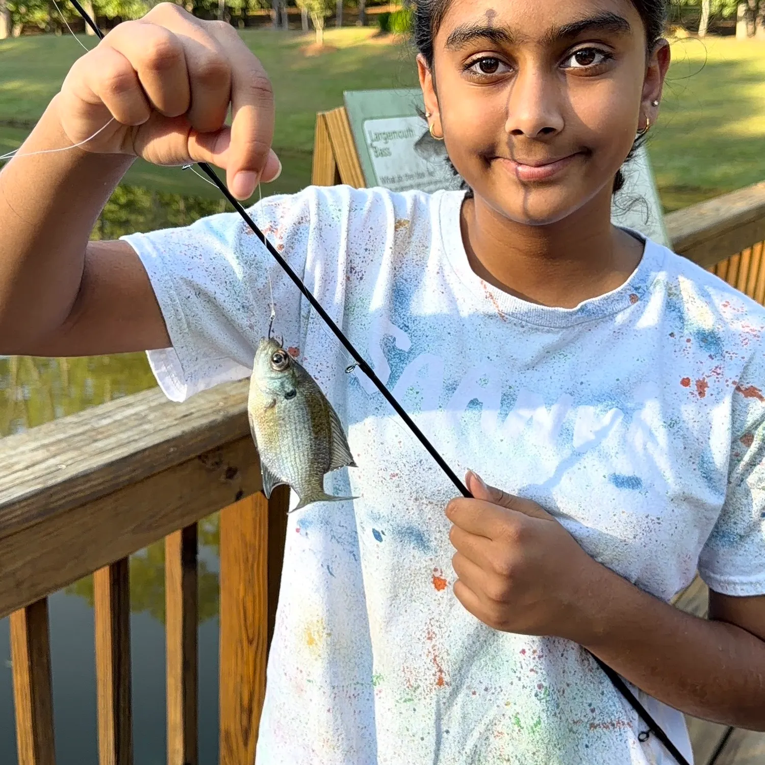 Bluegill caught on Fishbrain