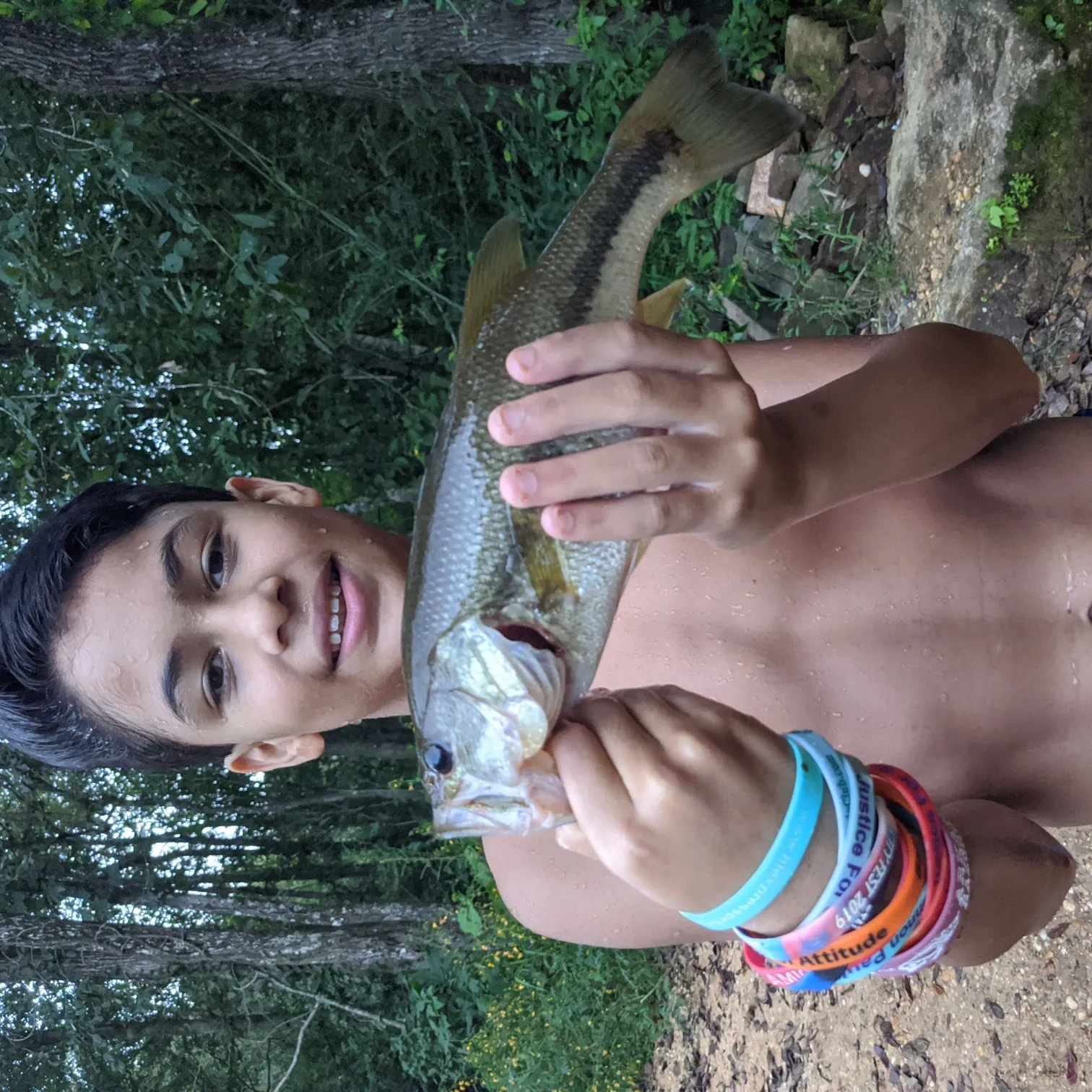 recently logged catches