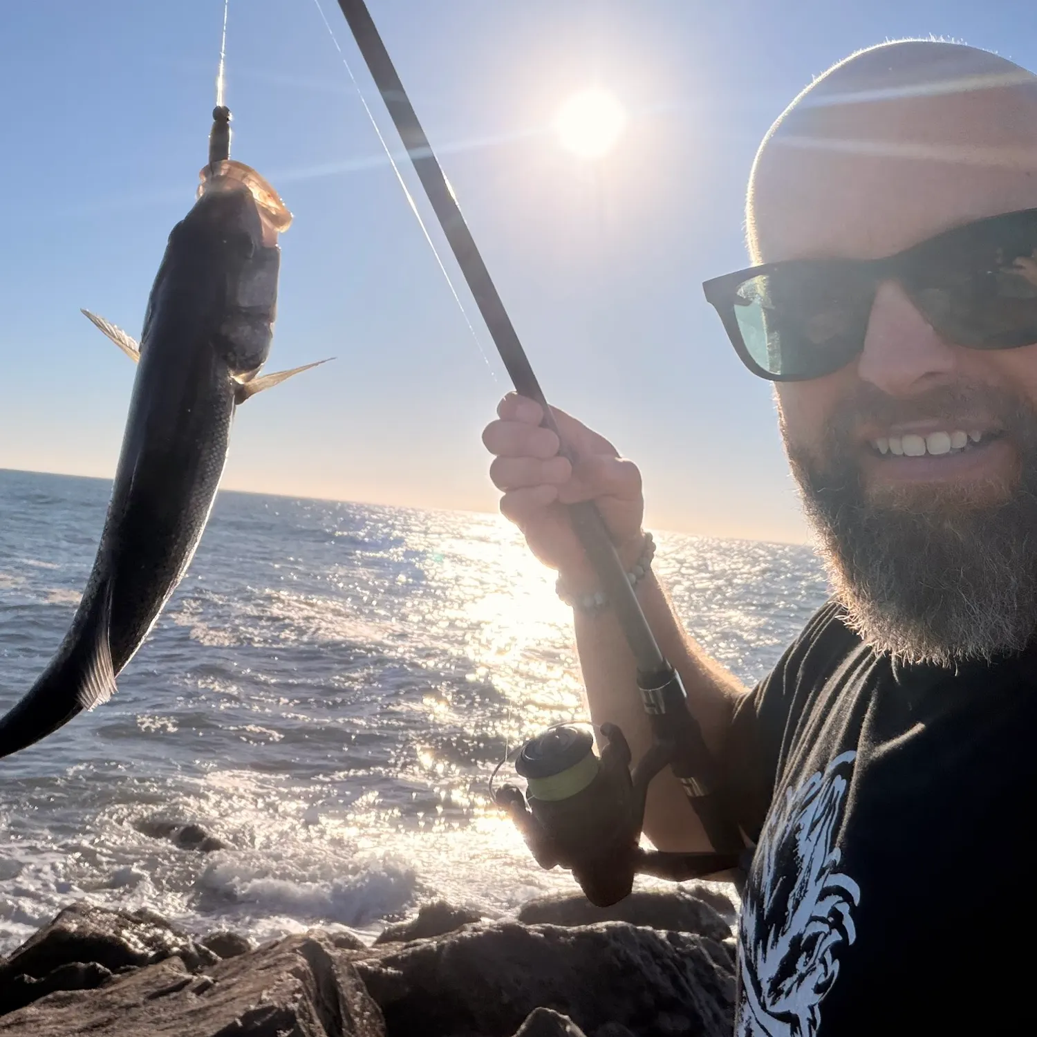 European seabass caught on Fishbrain