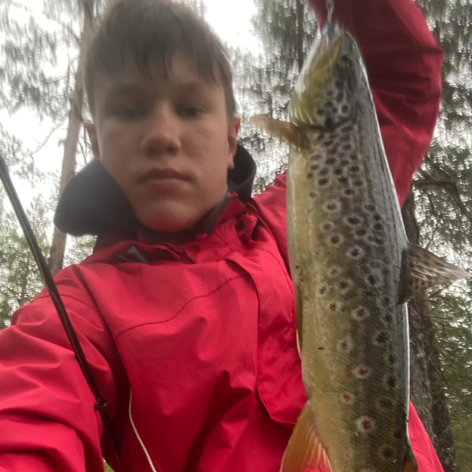 most liked catch image