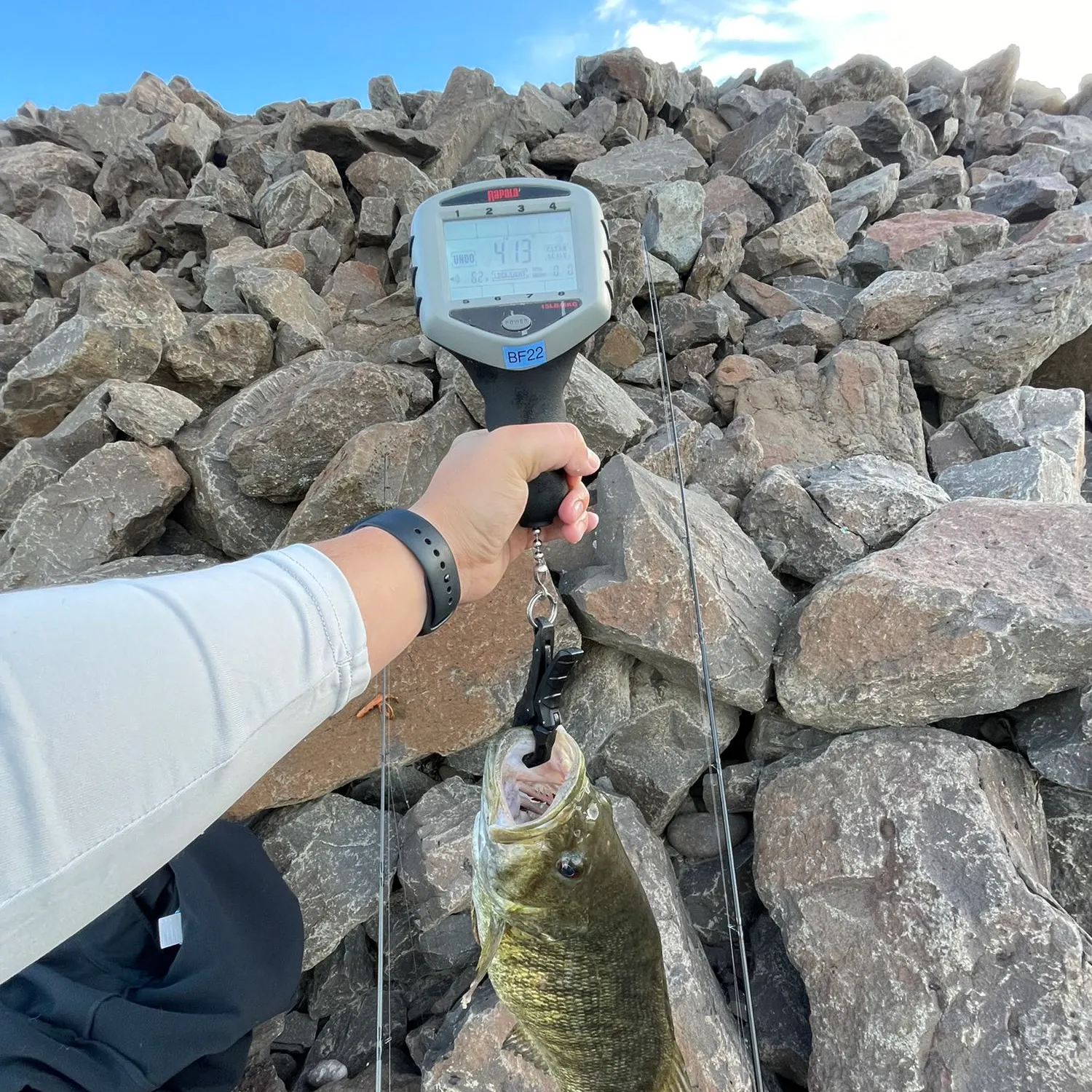 angler catch