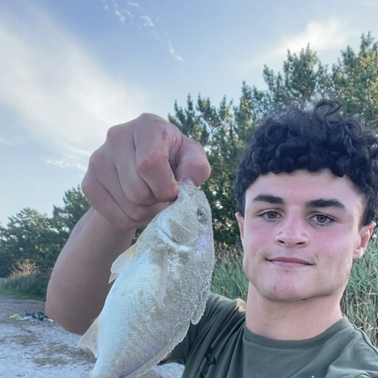 Spot croaker caught on Fishbrain
