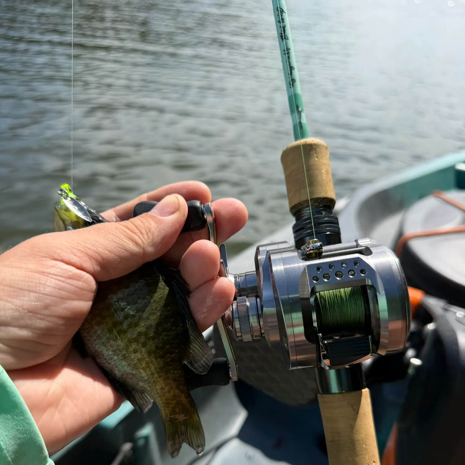 Smallmouth bass caught on Fishbrain