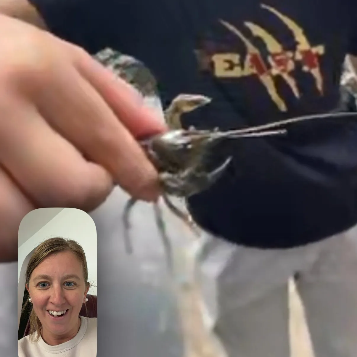 Signal crayfish caught on Fishbrain