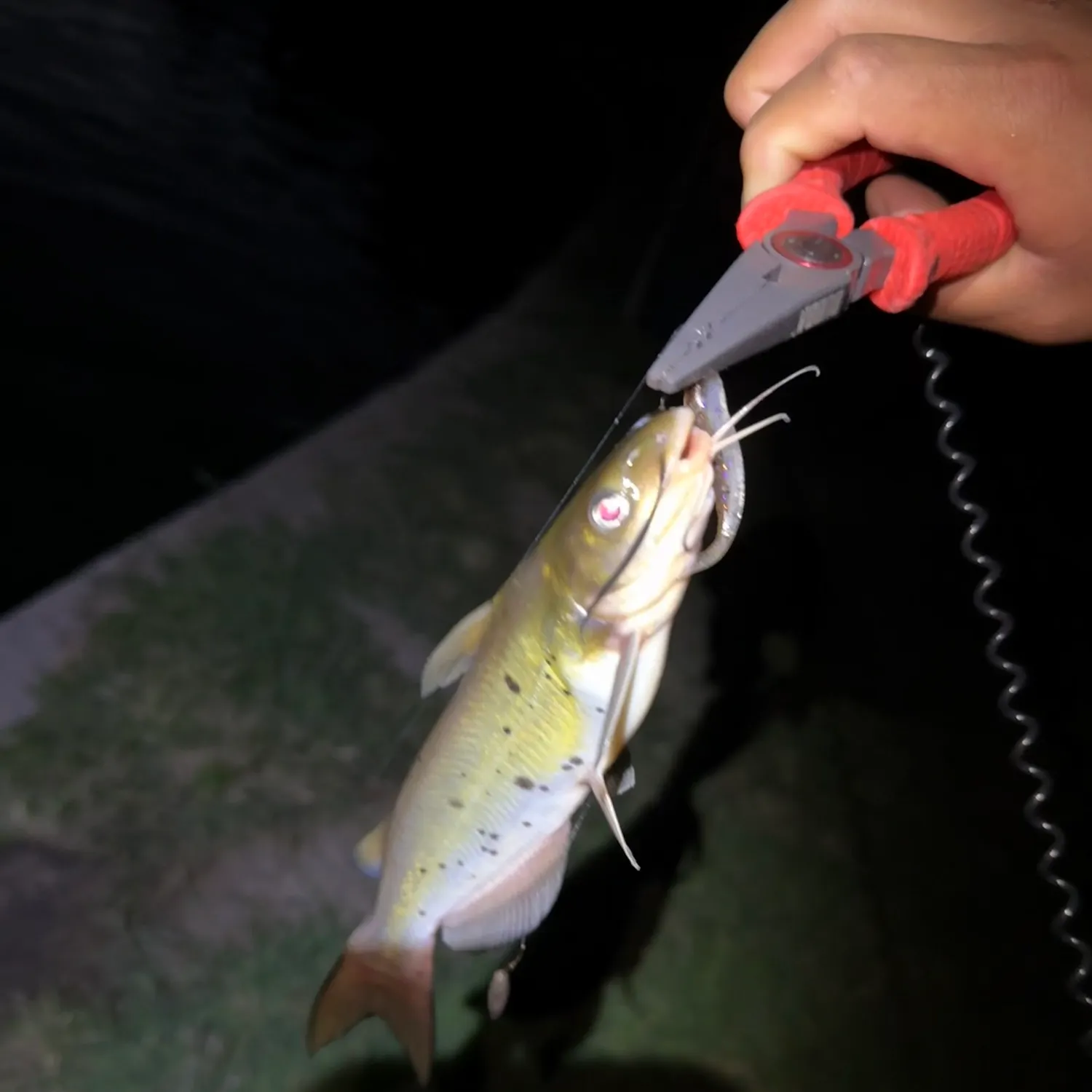 catch