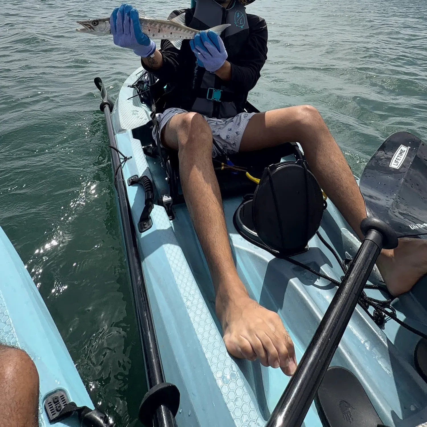 Fish caught on Fishbrain