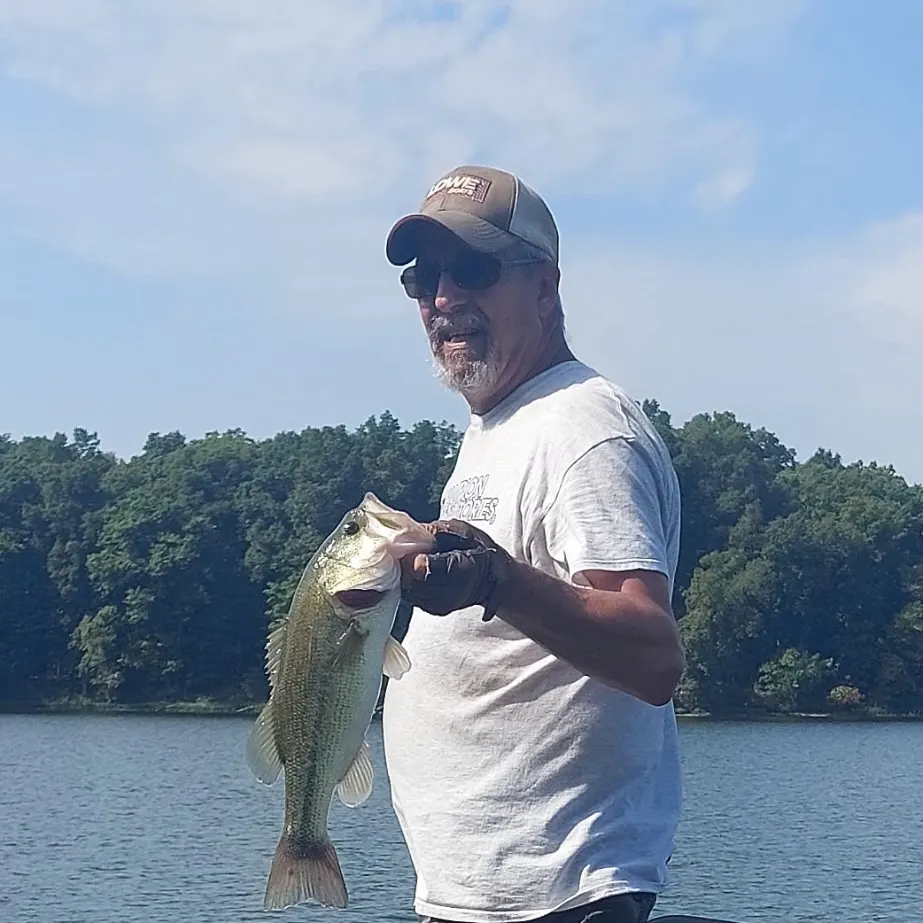 Largemouth bass caught on Fishbrain