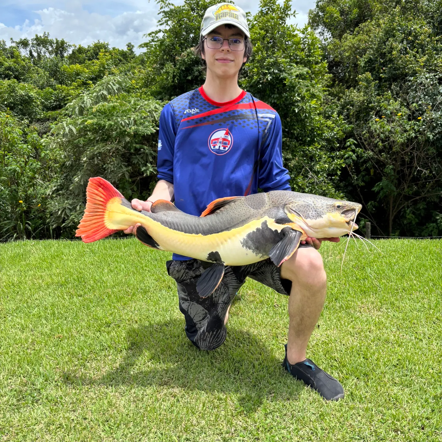The most recent Redtail catfish catches on Fishbrain