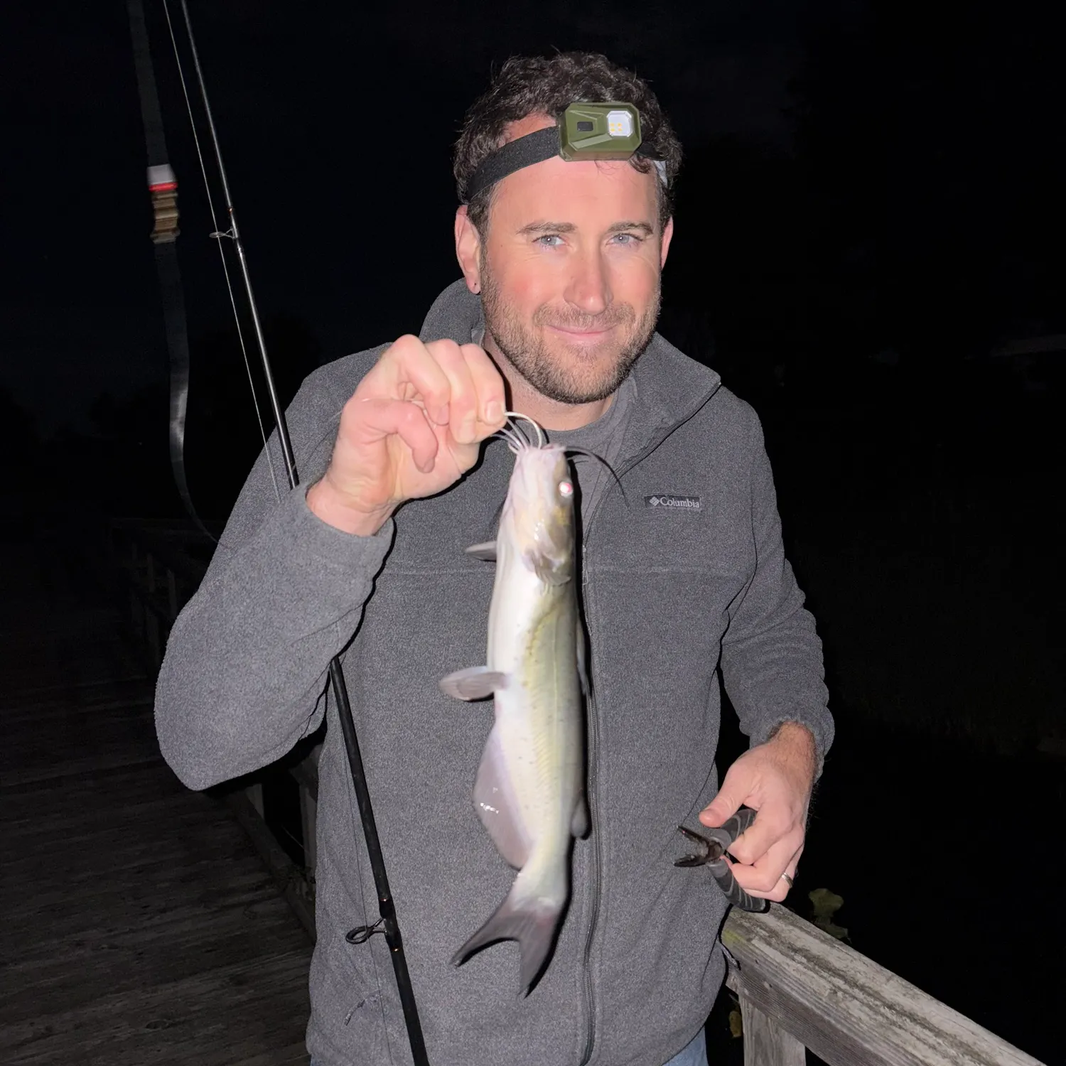 Channel catfish caught on Fishbrain