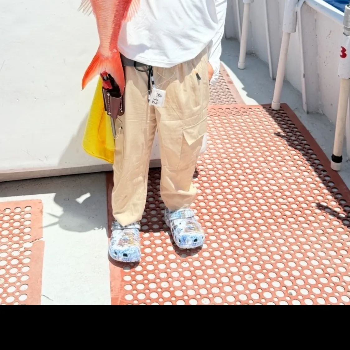 The most recent Queen Snapper catches on Fishbrain