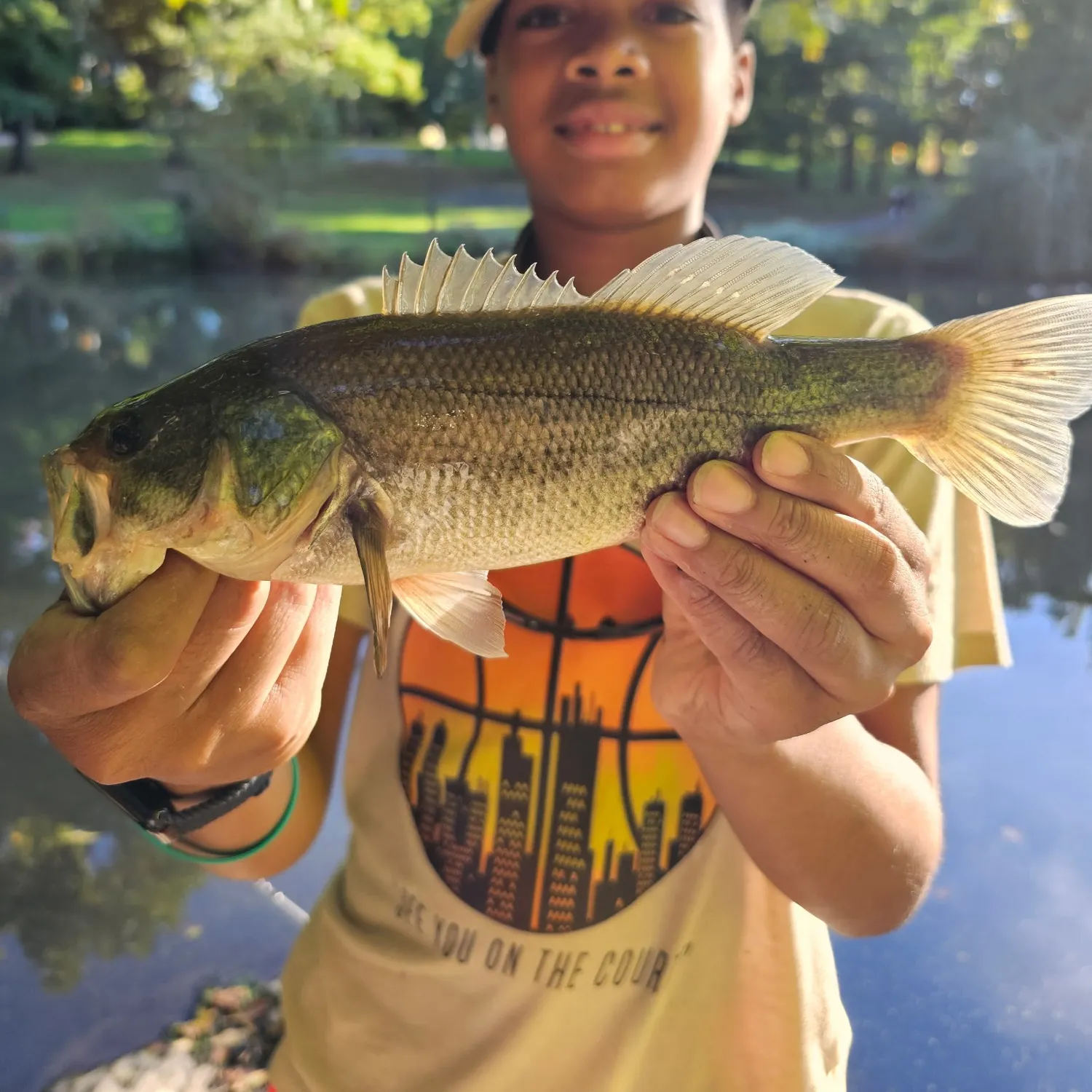 Largemouth bass caught on Fishbrain