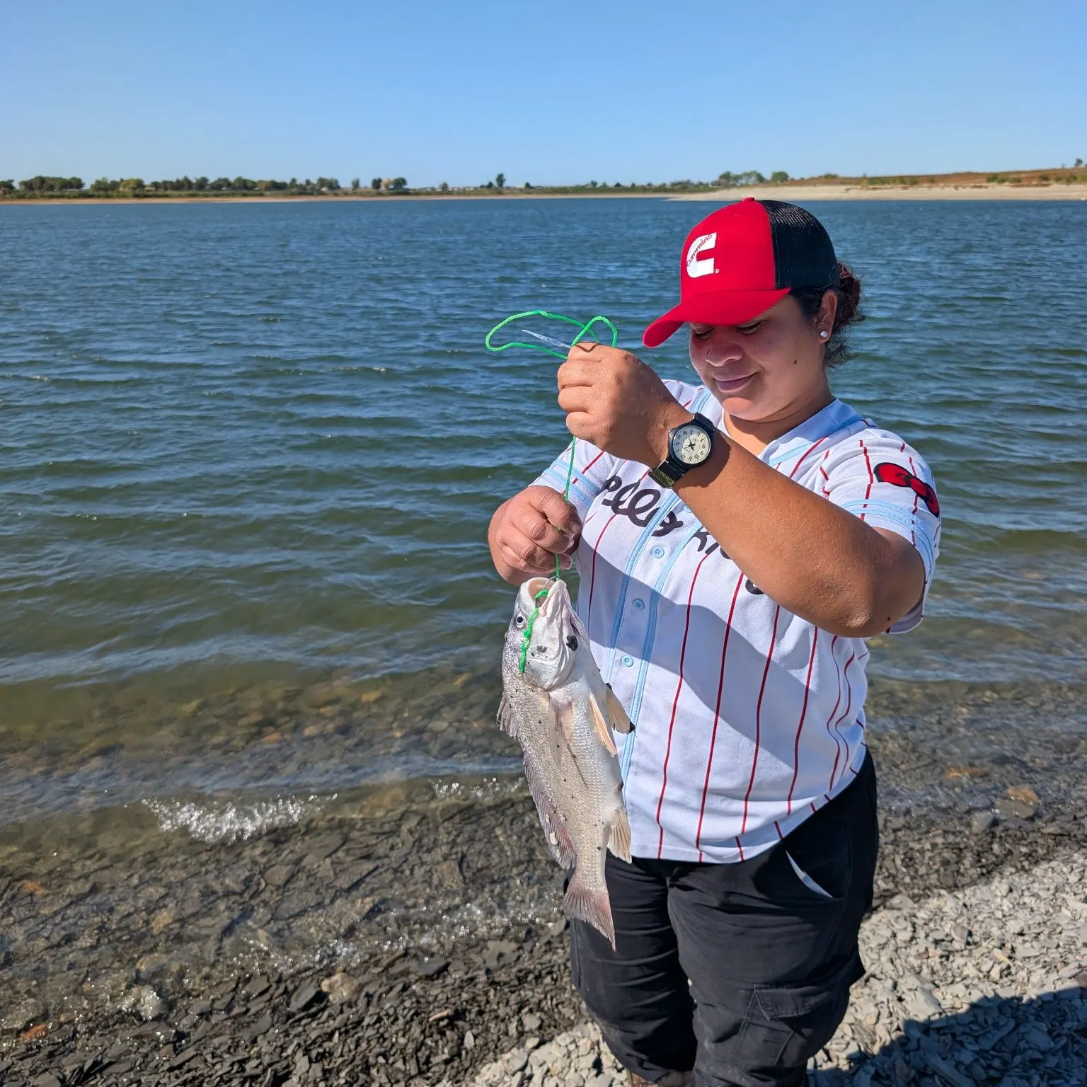 Freshwater drum caught on Fishbrain