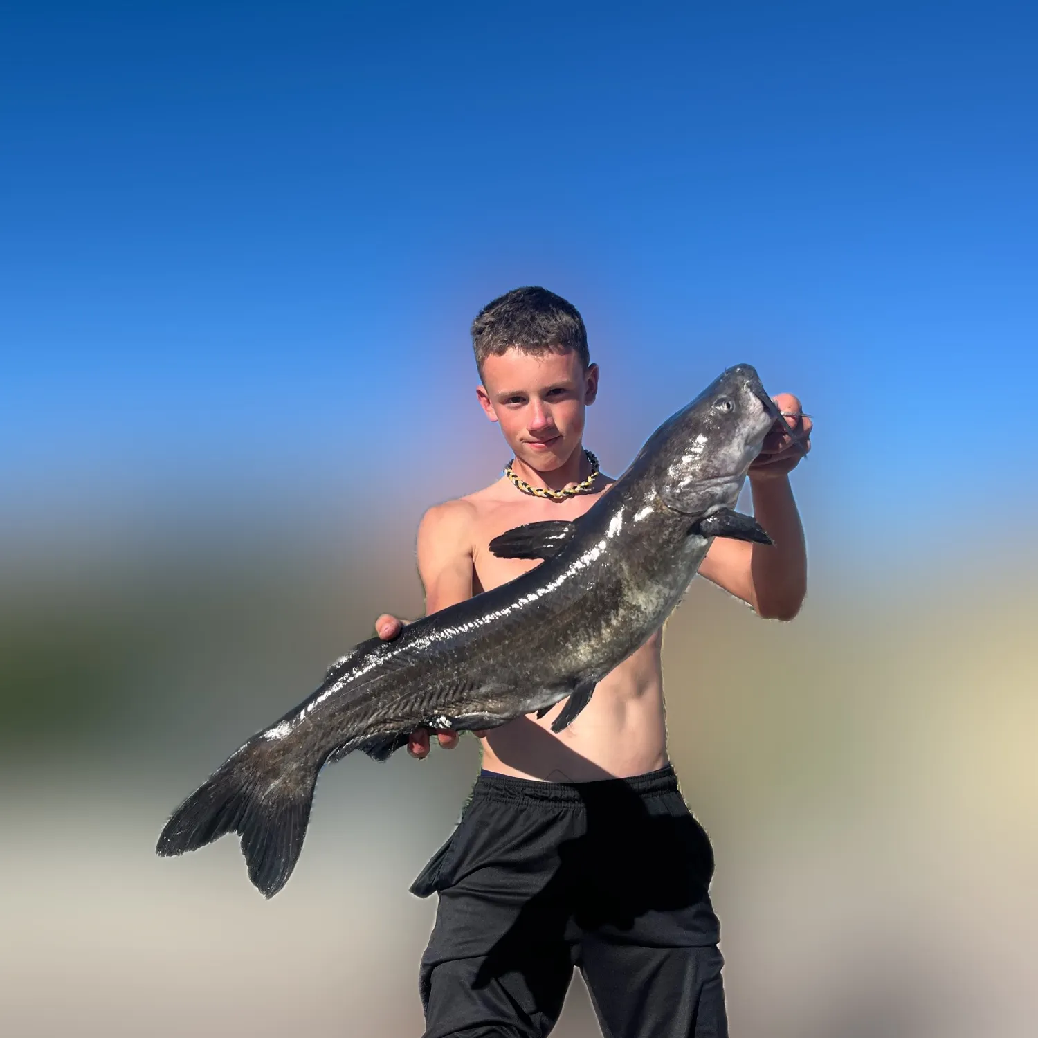 Channel catfish caught on Fishbrain