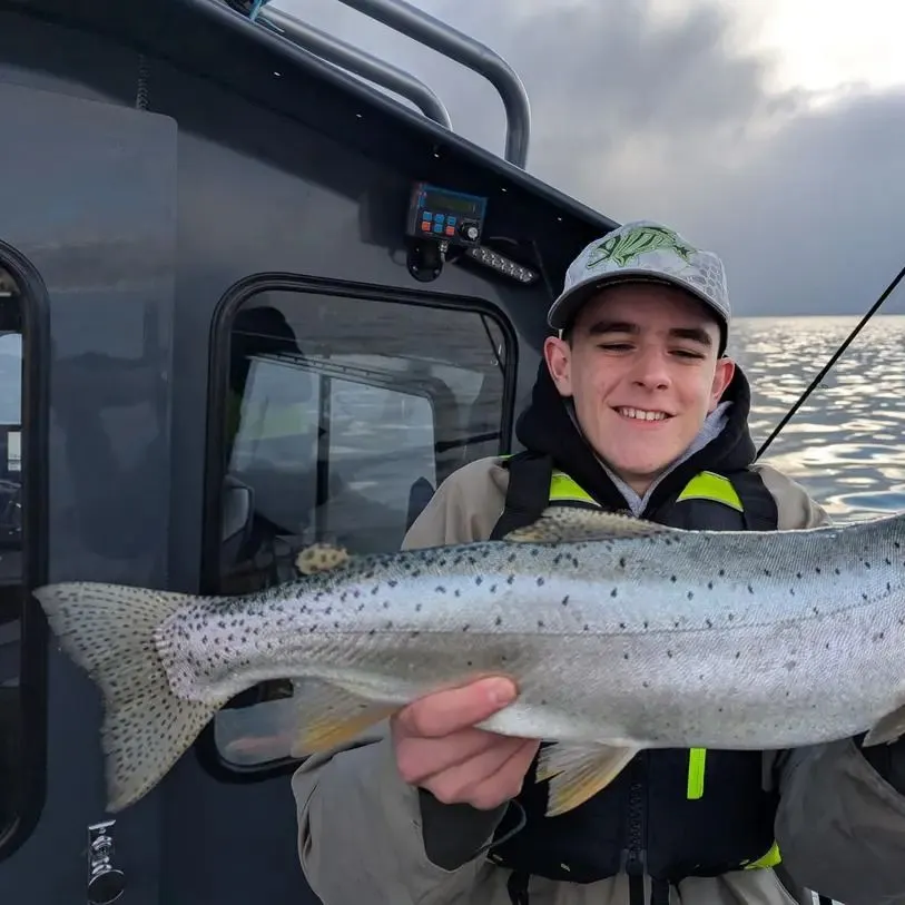 The most recent Bear Lake cutthroat trout catches on Fishbrain