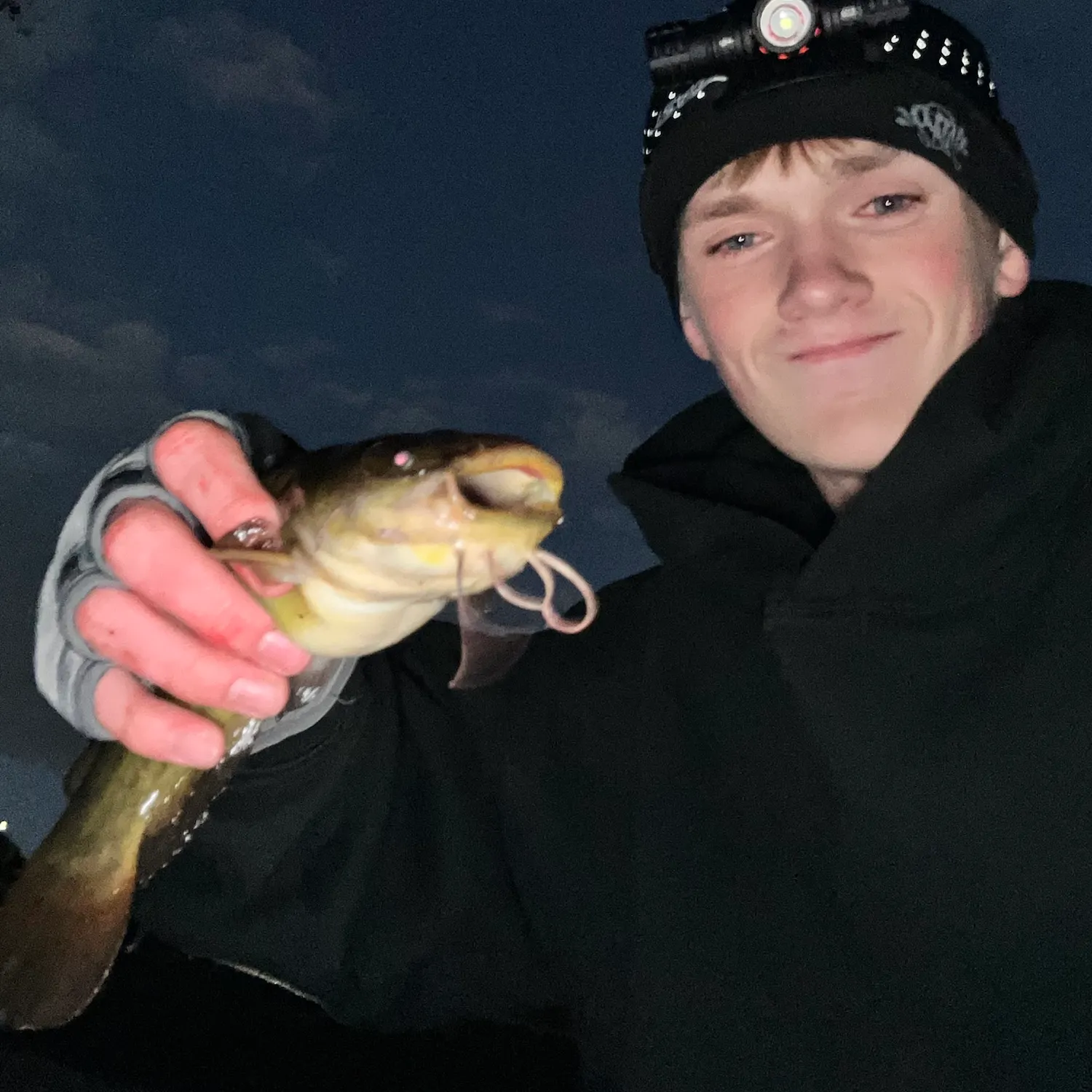 Channel catfish caught on Fishbrain
