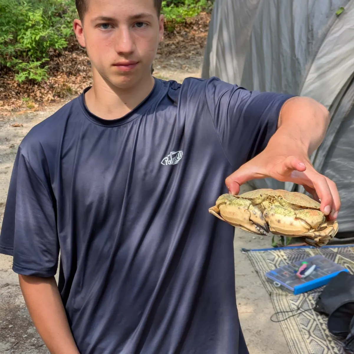 The most recent Jonah crab catches on Fishbrain