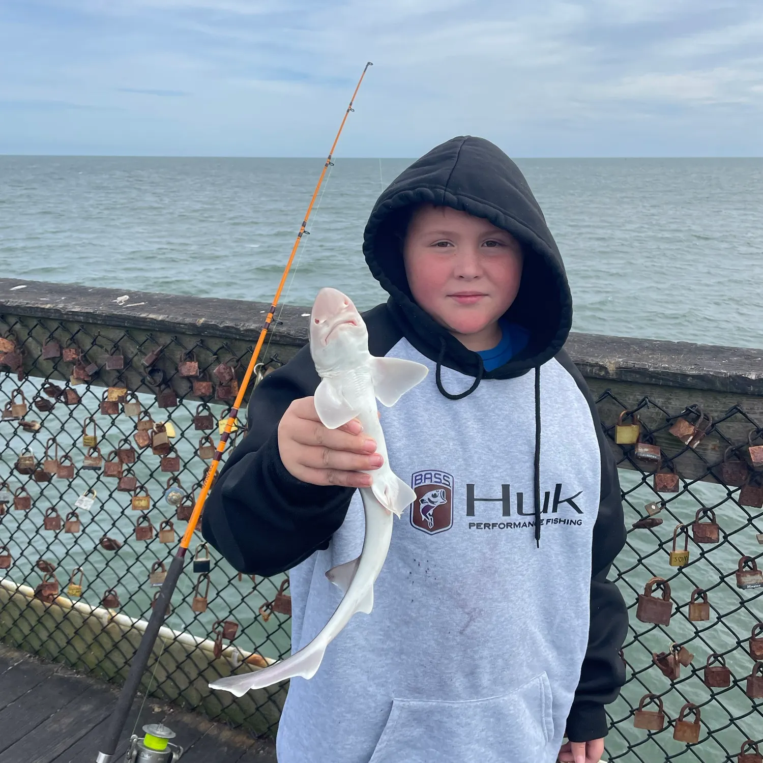 The most recent Piked dogfish catches on Fishbrain
