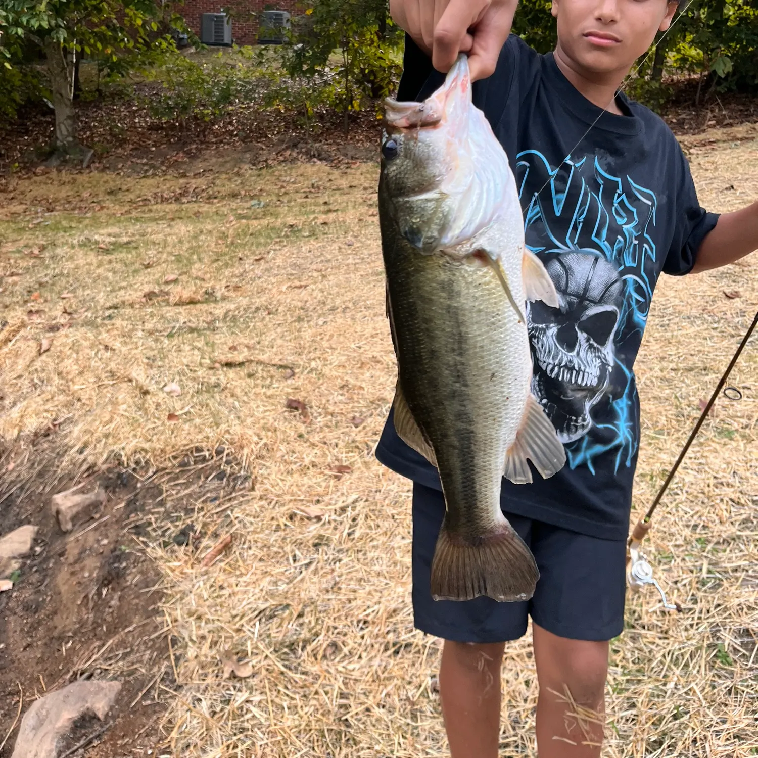 Fish caught on Fishbrain