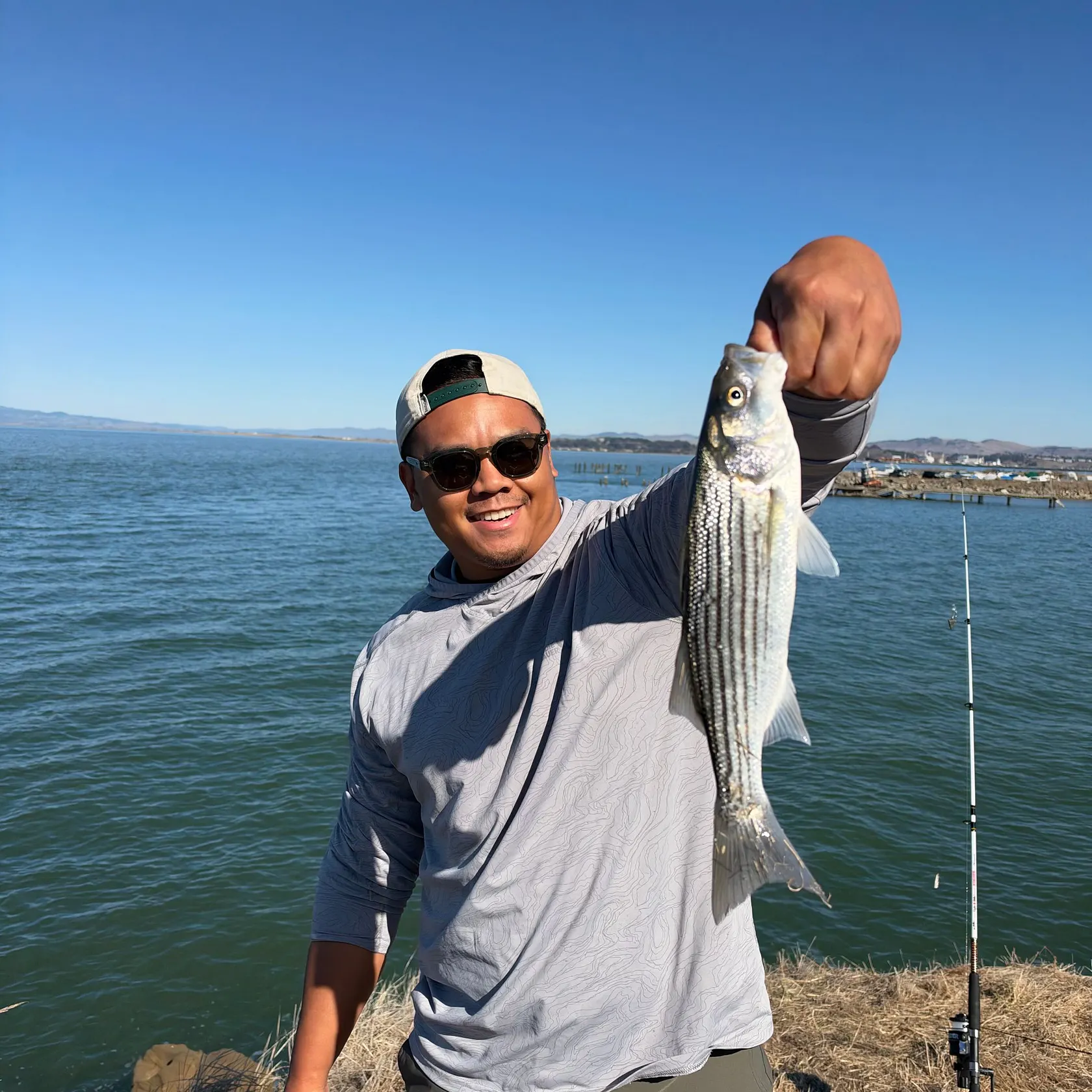 The most recent Striped bass catches on Fishbrain
