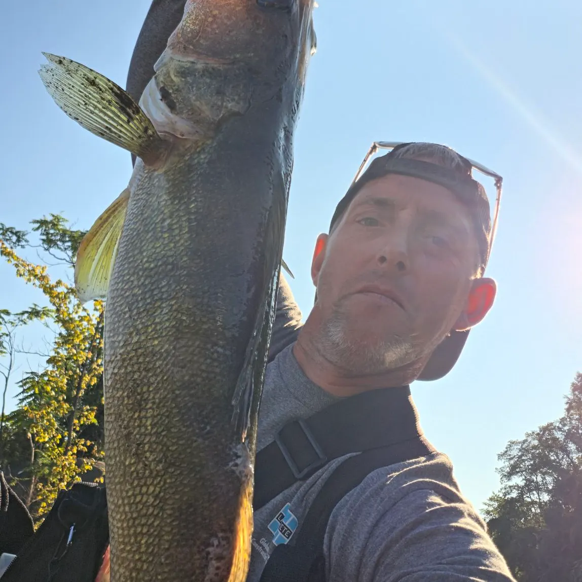 Walleye caught on Fishbrain