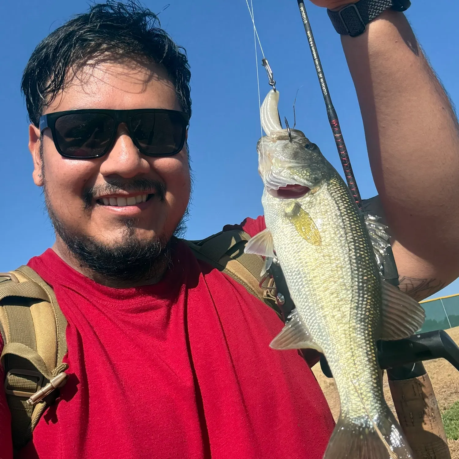 Spotted bass caught on Fishbrain