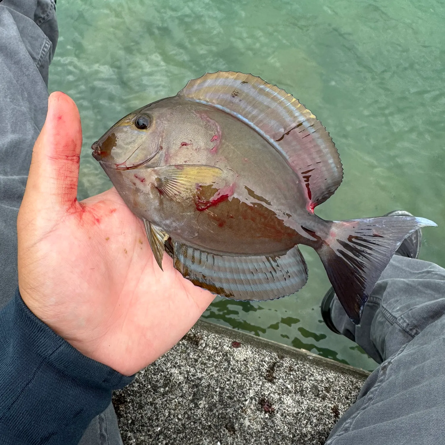 most liked catch image