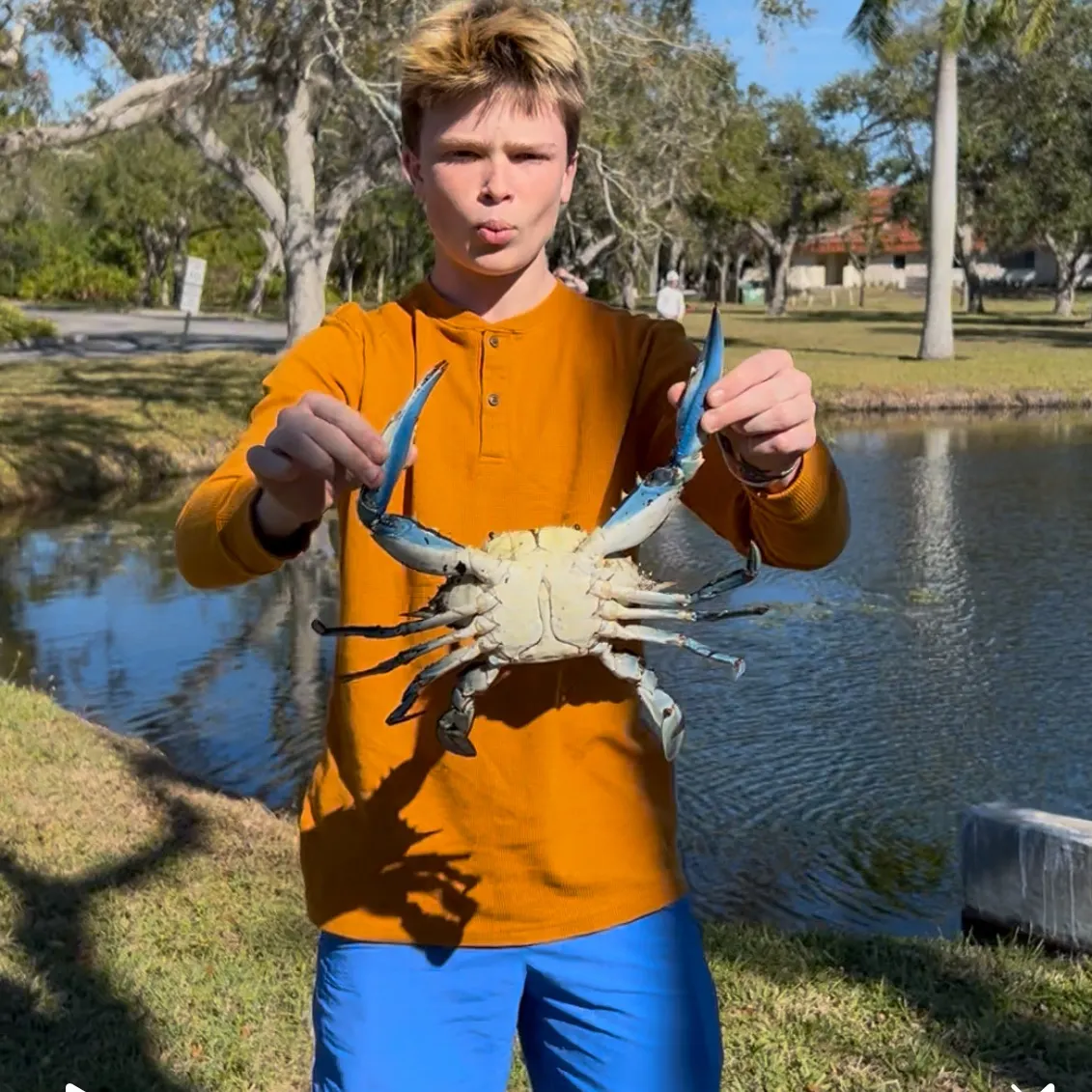 The most recent Blue crab catches on Fishbrain