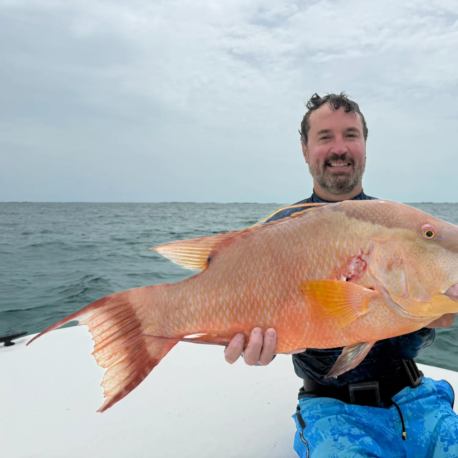 The most recent Hogfish catches on Fishbrain