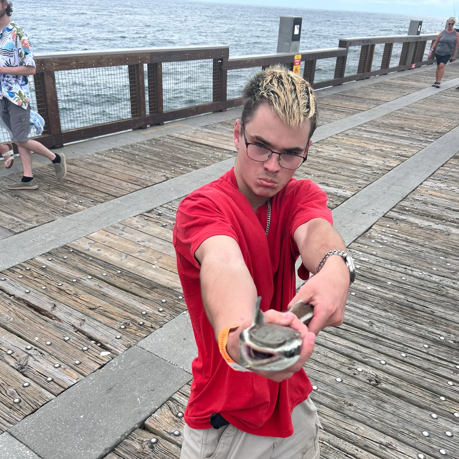 The most recent Common remora catches on Fishbrain
