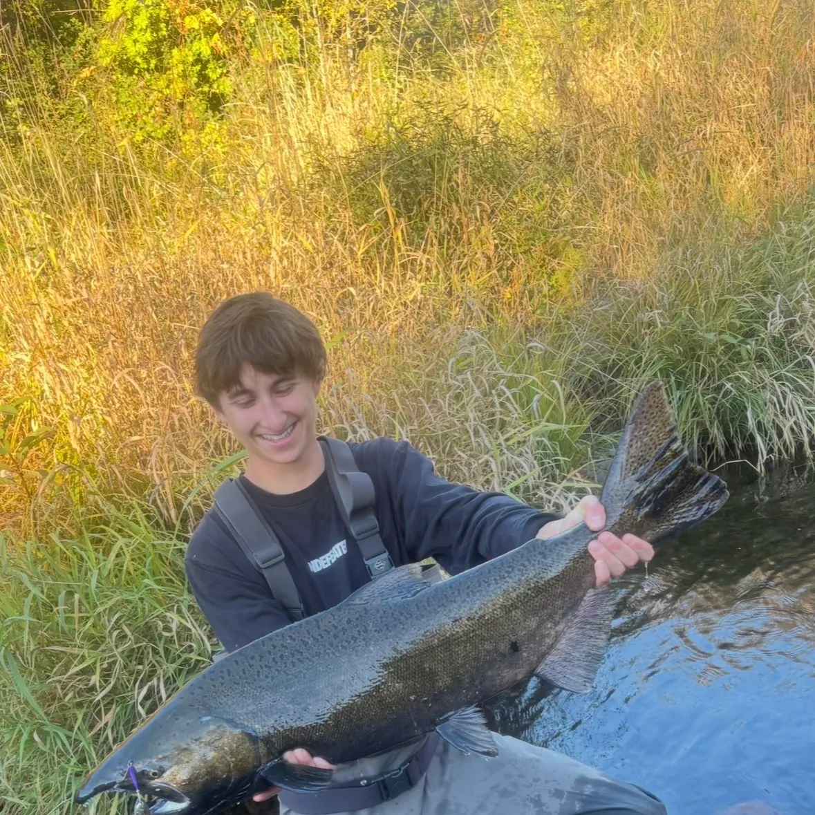 Chinook salmon caught on Fishbrain