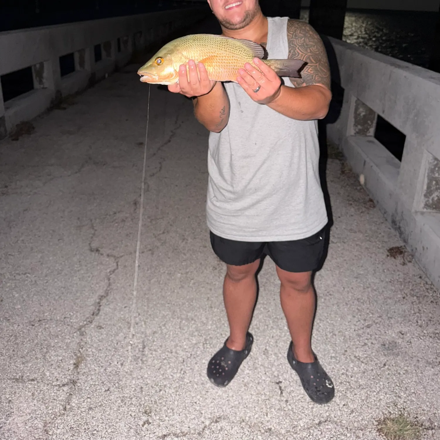 Mangrove snapper caught on Fishbrain