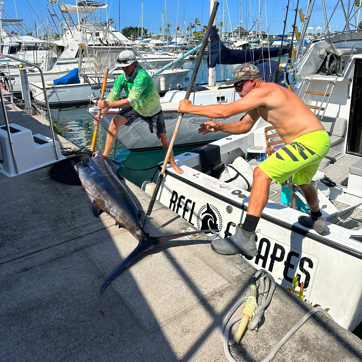 recently logged catches