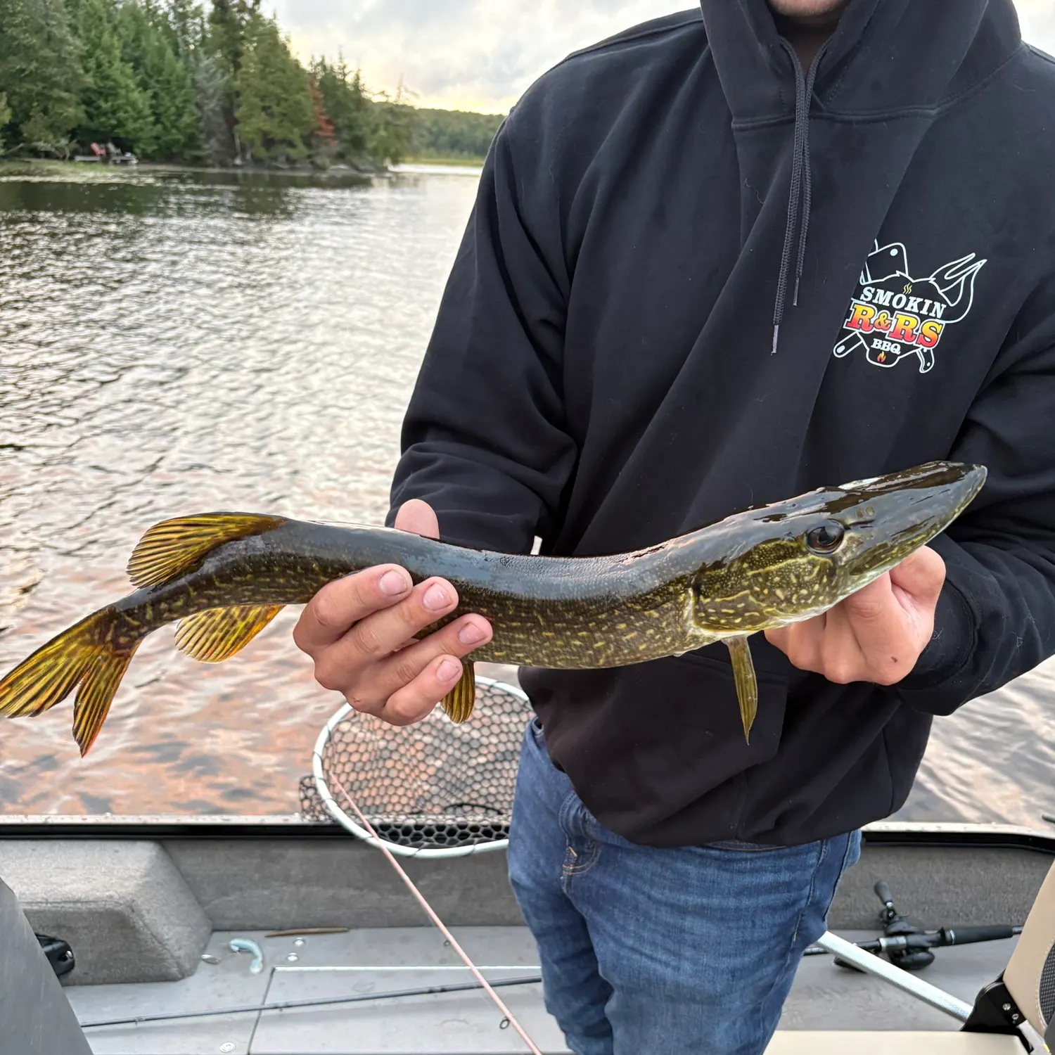 Northern pike caught on Fishbrain