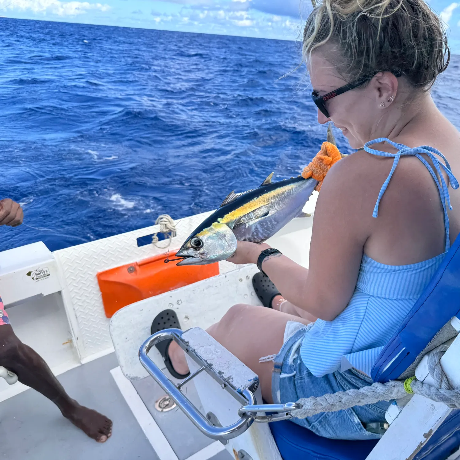 The most recent Blackfin tuna catches on Fishbrain