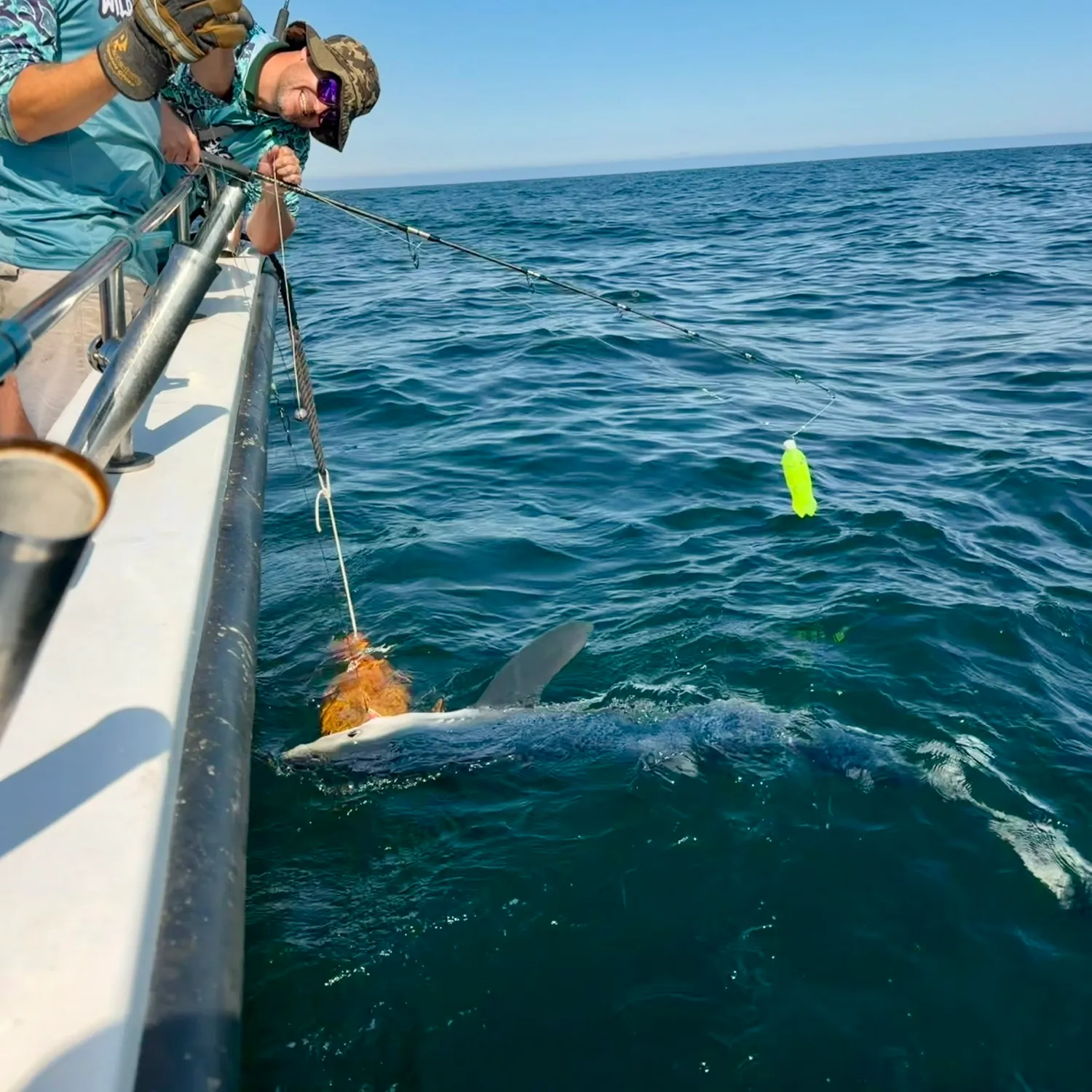 The most recent Blue shark catches on Fishbrain