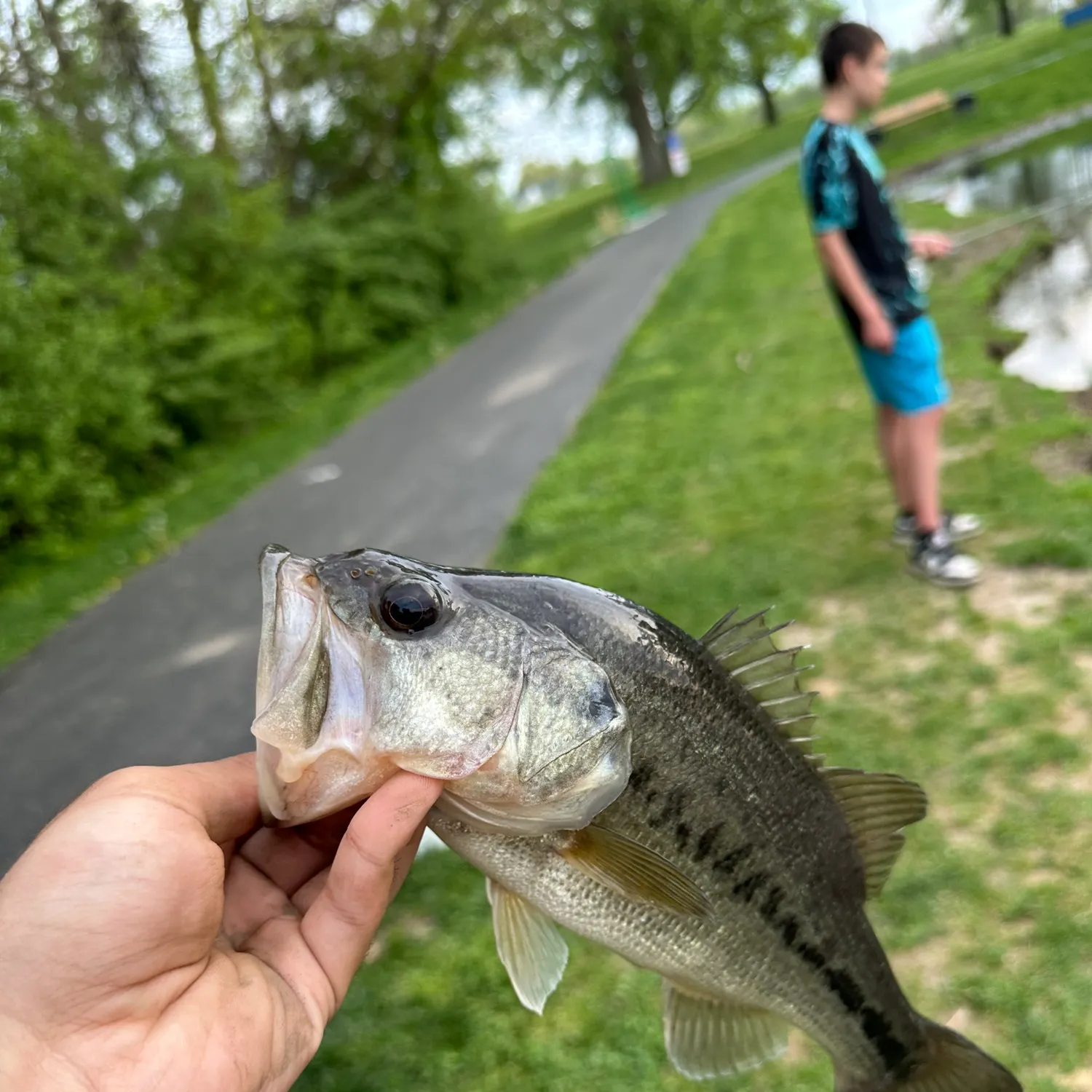 catch