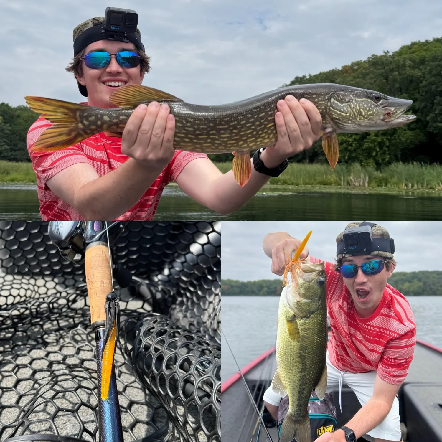 Northern pike caught on Fishbrain