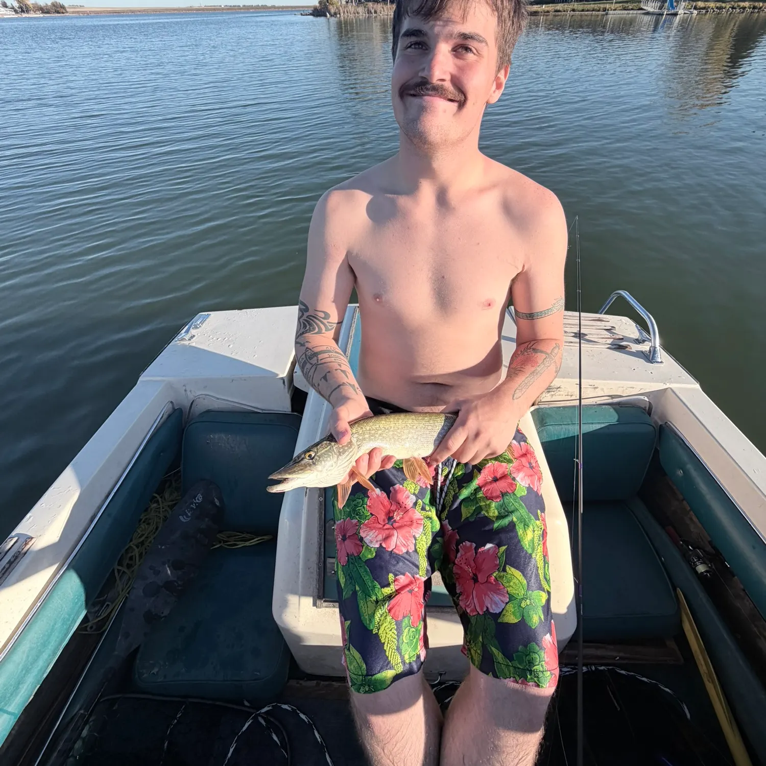 Bull trout caught on Fishbrain