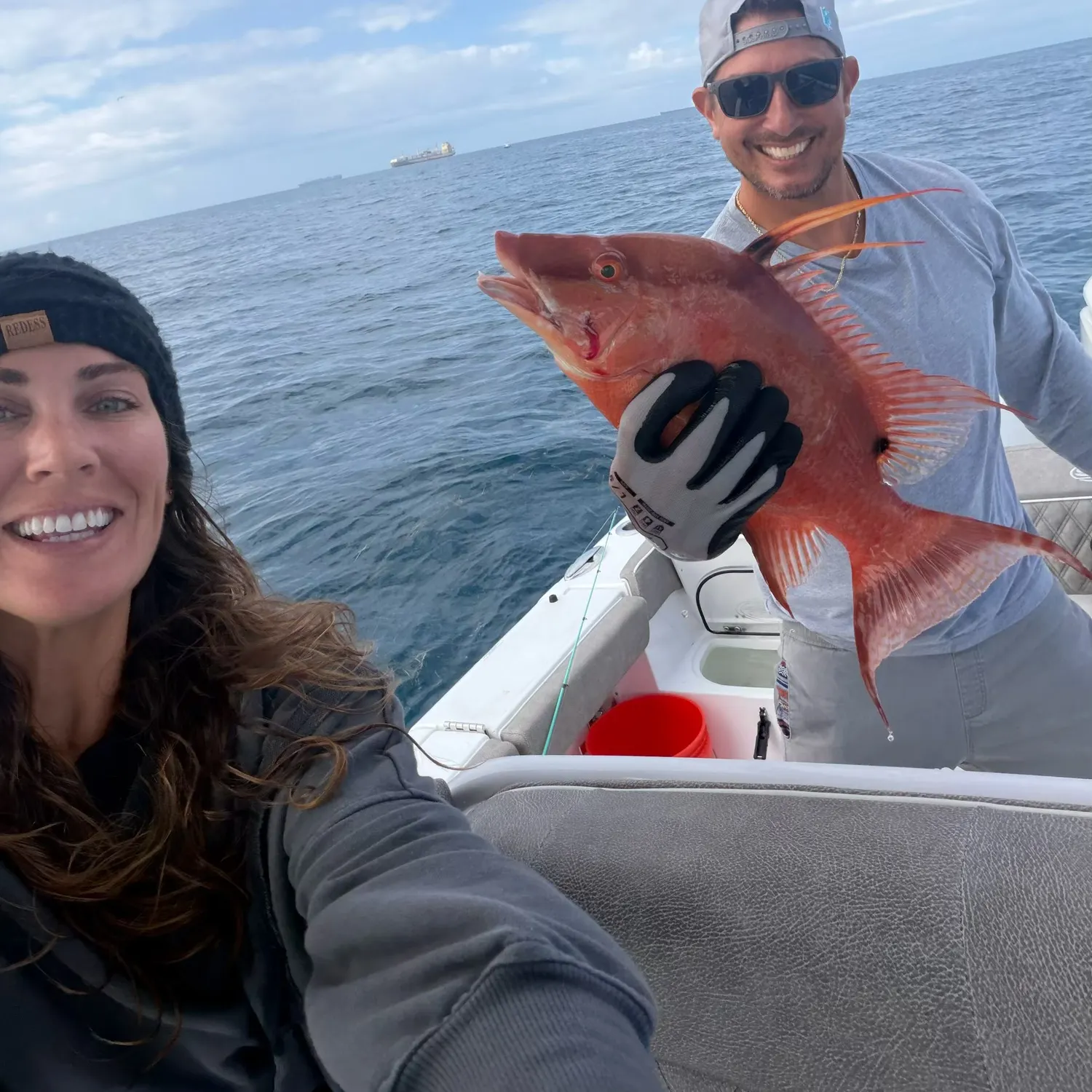 The most recent Hogfish catches on Fishbrain