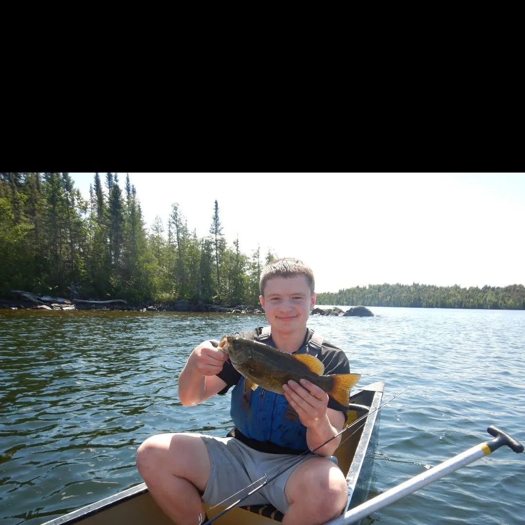 Smallmouth bass caught on Fishbrain