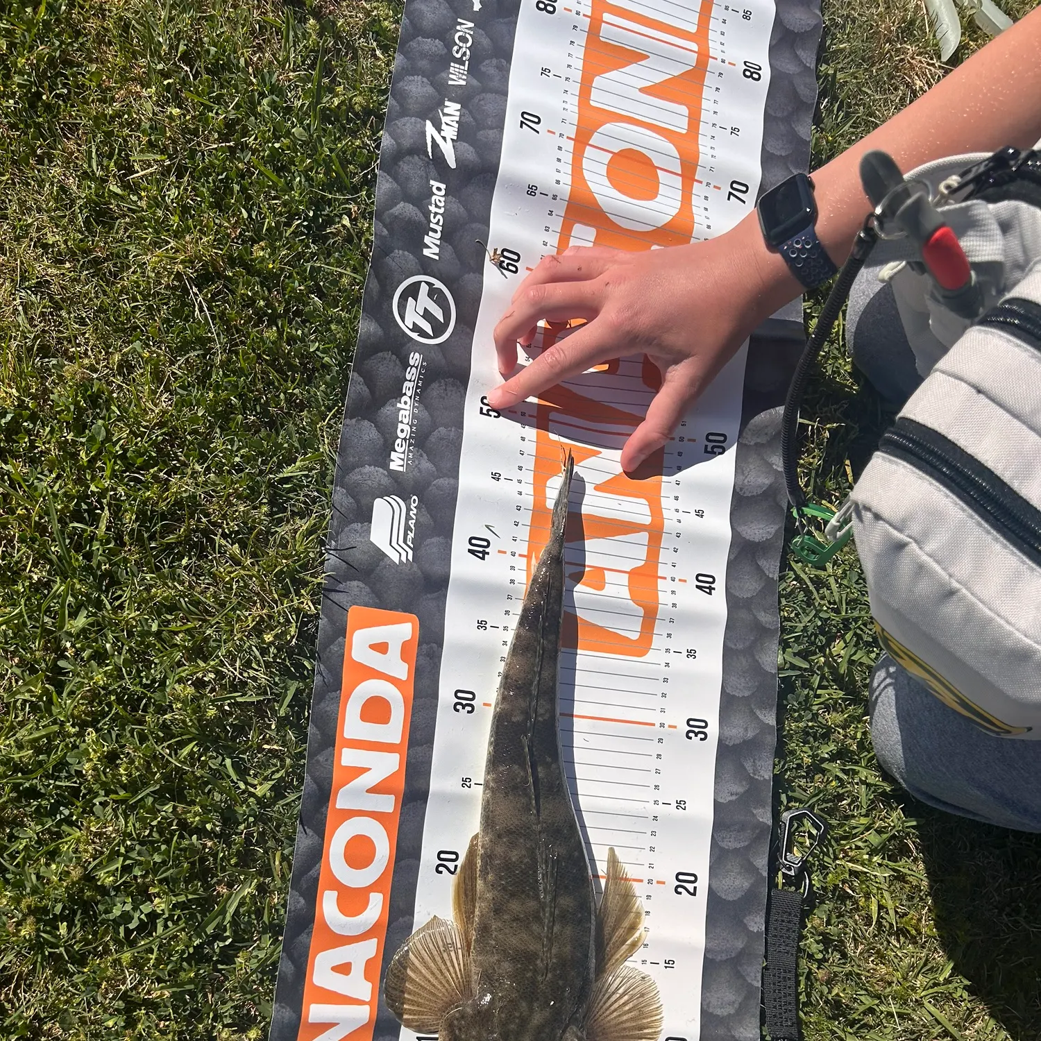 Dusky flathead caught on Fishbrain