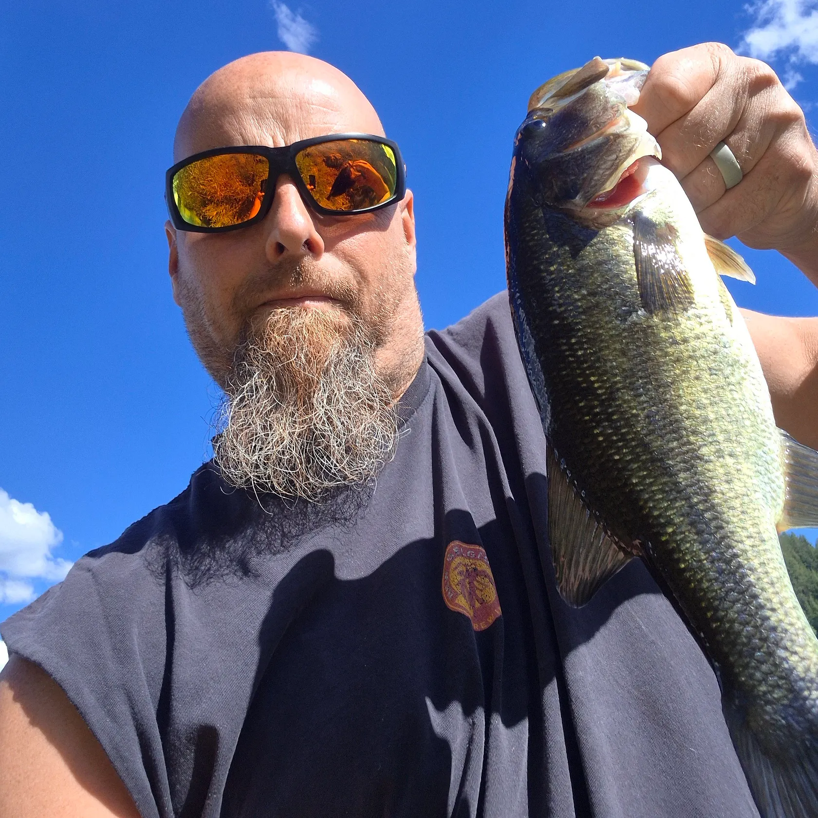 Largemouth bass caught on Fishbrain
