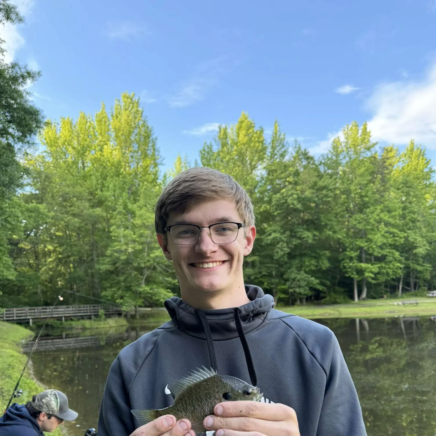 Bluegill caught on Fishbrain