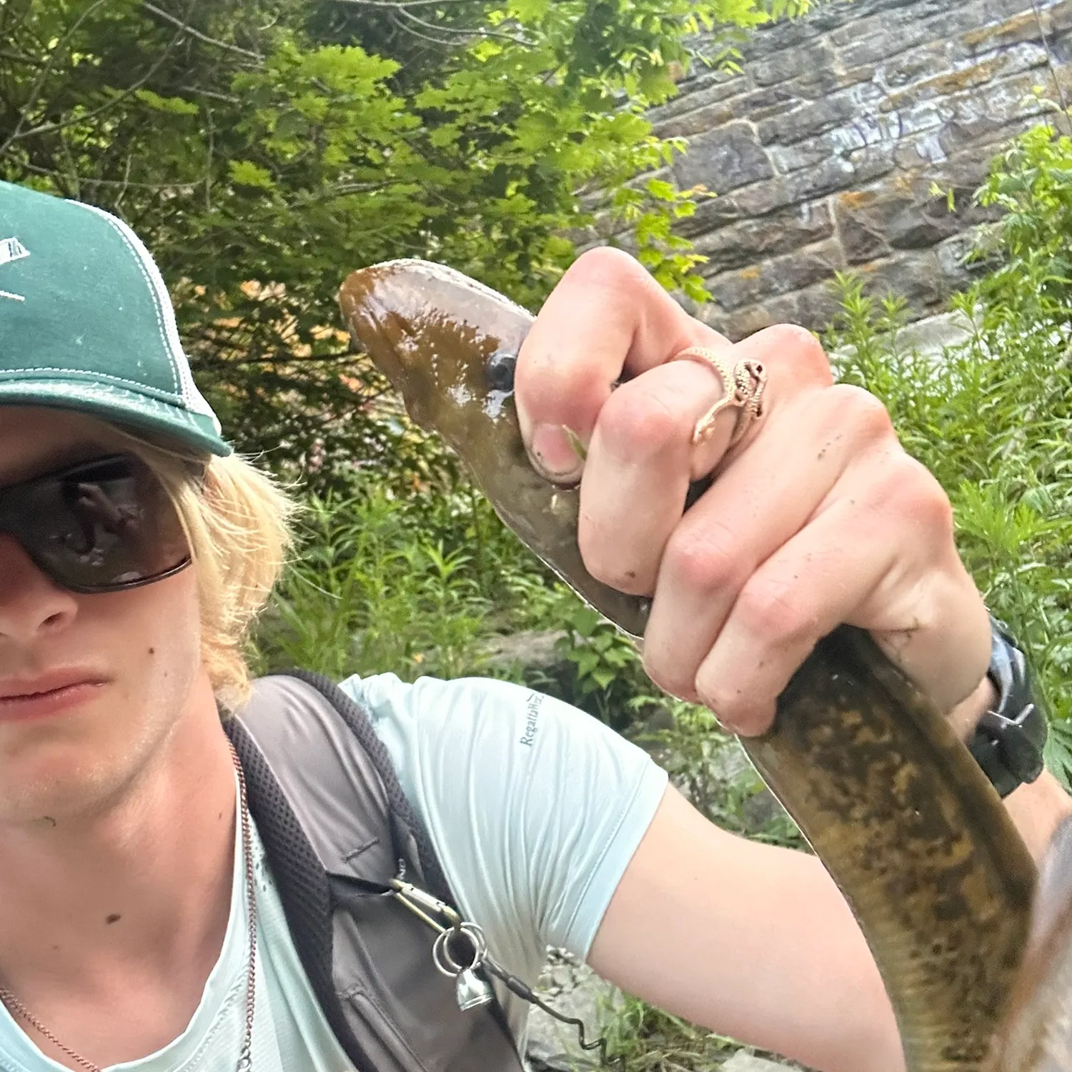 The most recent Sea lamprey catches on Fishbrain
