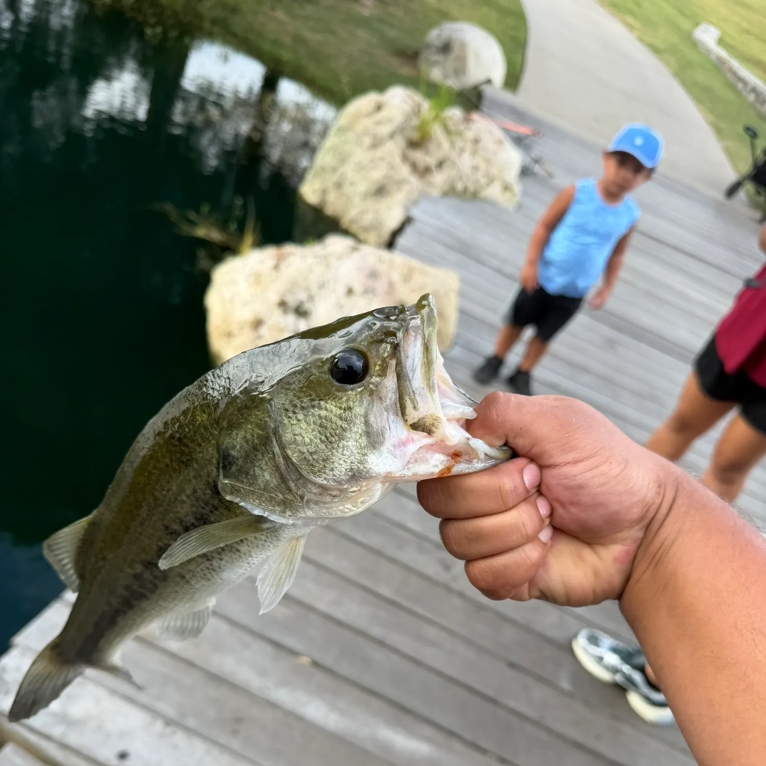 catch