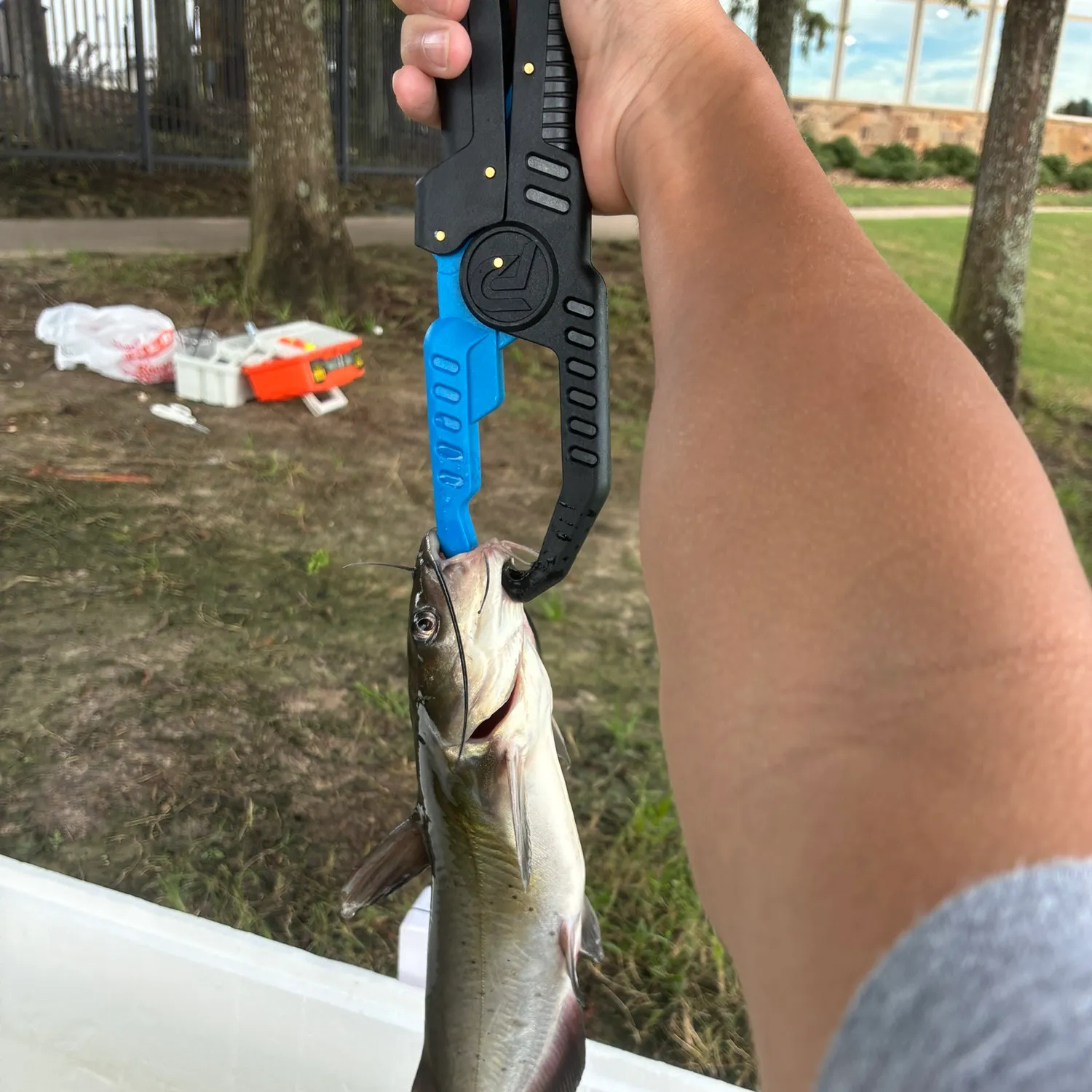 catch