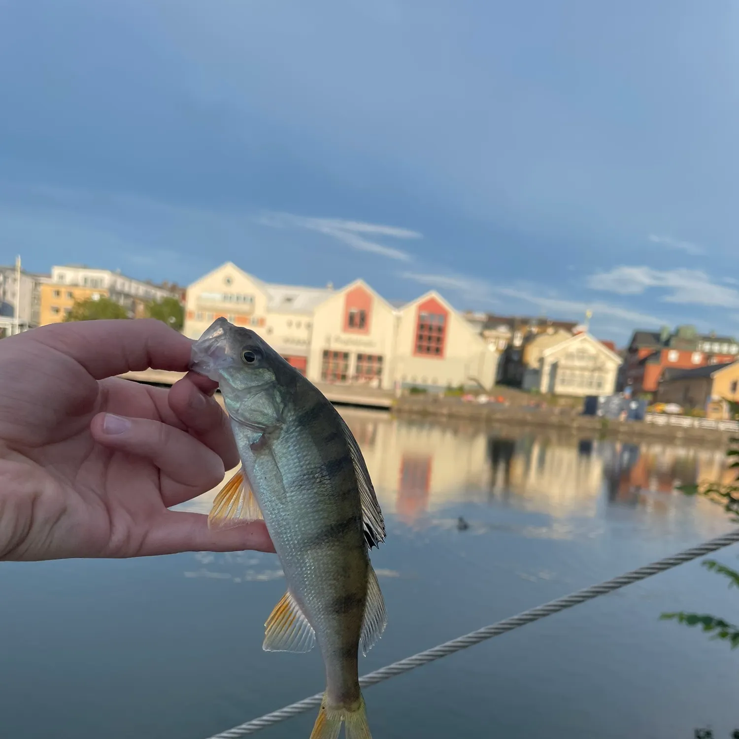 catch