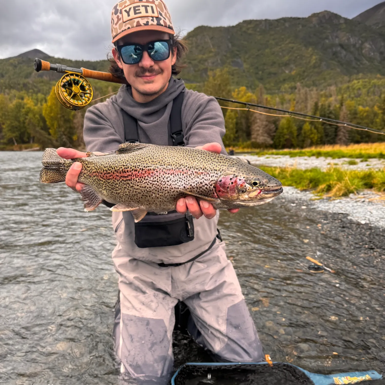 Rainbow trout caught on Fishbrain