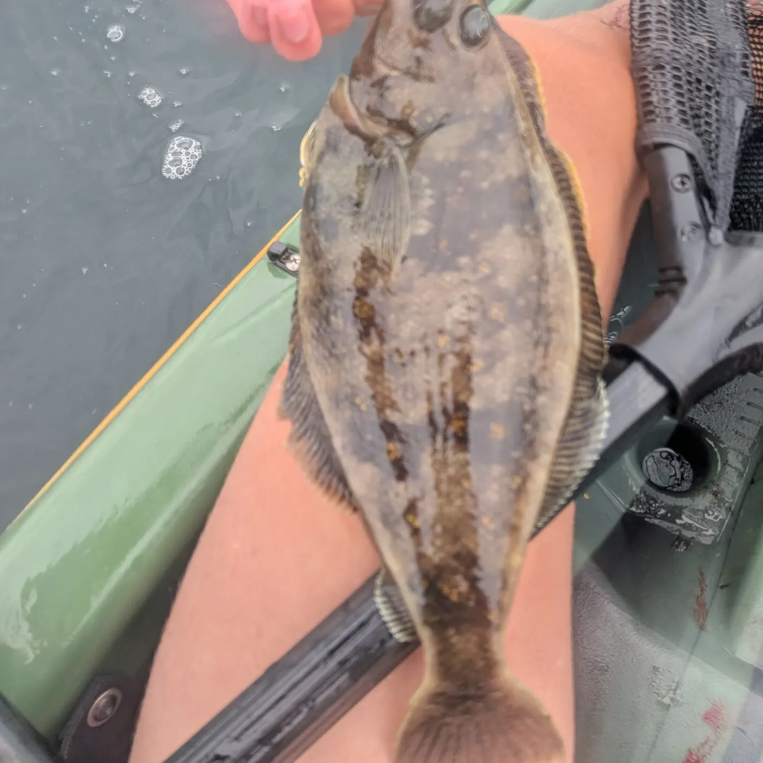 The most recent Northern rock sole catches on Fishbrain