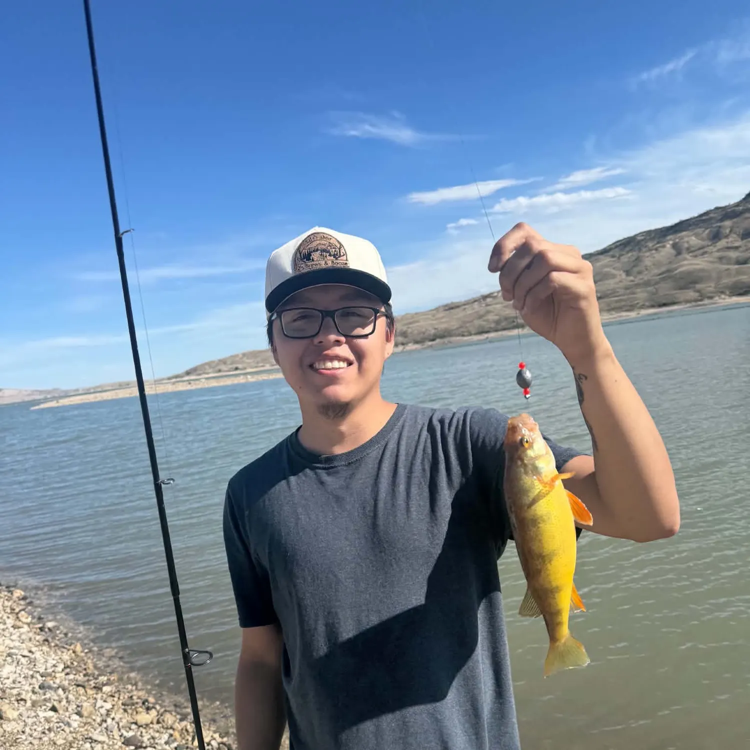 Yellow perch caught on Fishbrain